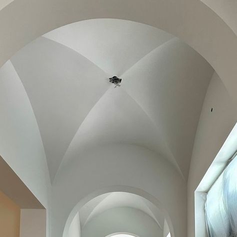 Vault Ceiling, Curved Ceiling, Beautiful Entrance, Houston Design, Ceiling Finishes, St Georges, Interior Design Elements, Vaulted Ceilings, Texas Homes