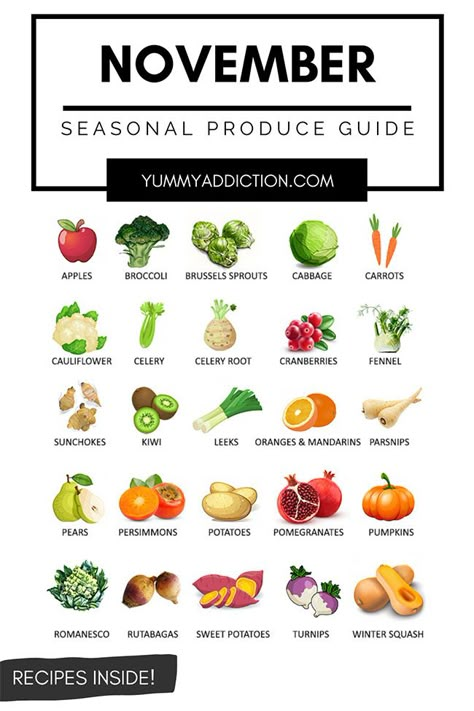 A seasonal produce guide highlighting fruits and vegetables that are at their best in November. Tips on how to use them and recipes inside! #produce #november #vegetables #fruits #seasonal November Fruits In Season, November Fruits And Vegetables, Seasonal Veggies And Fruits, November Seasonal Produce, Winter Produce Recipes, November Produce In Season, Seasonal Produce November, November Vegetables, November Produce