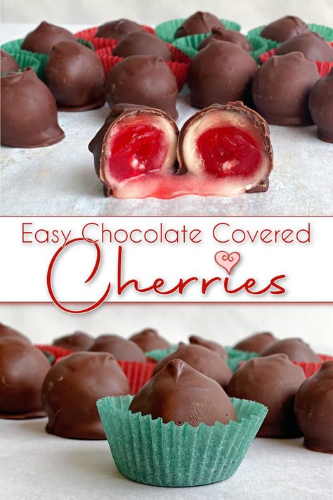 Old Fashioned Chocolate Covered Cherries, Old Fashioned Cherry Mash Chocolates, Chocolate Covered Cherry Mice, Queen Anne Chocolate Covered Cherries, Cherry Chocolates Homemade, Chocolate Covered Cherry Desserts, Homemade Cordial Cherries, Chocolate Cover Cherries, Christmas Favorites Recipes