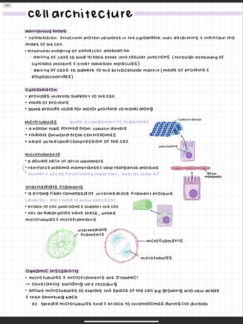 Cell Biology Notes, Notes Format, French Notes, Med Notes, Learn Biology, Ipad Notes, Notes Inspo, School Routine For Teens, Nursing Student Tips