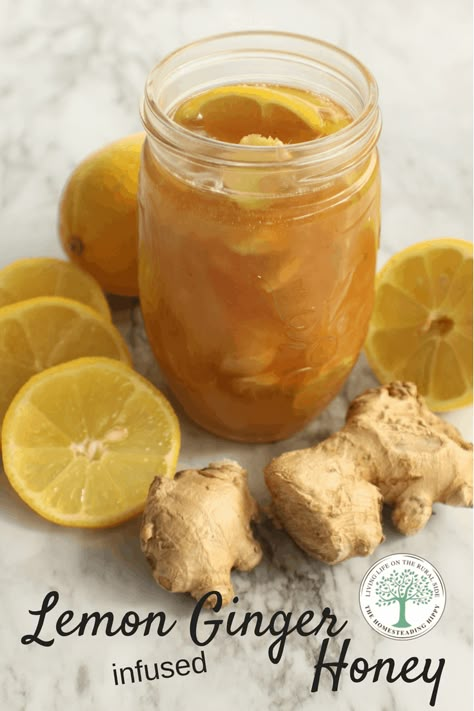 Ginger Lemon Honey Tea, Herb Infused Honey, Lemon And Honey, Infused Honey, Ginger Syrup, Lemon Honey, Natural Beauty Remedies, Honey Tea, Lemon Ginger