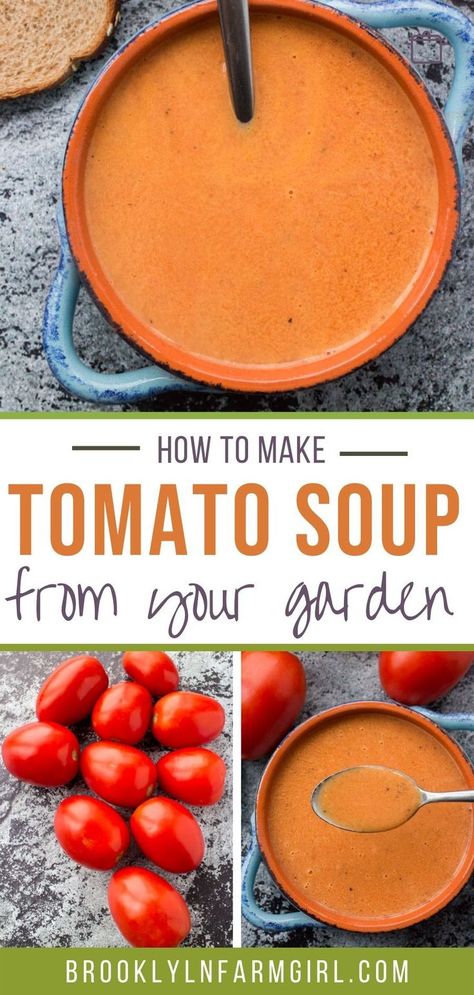 Roma Tomato Soup, Homemade Tomato Soup Recipe, Fresh Tomato Soup, Roma Tomato, Fresh Tomato Recipes, Tomato Soup Homemade, Canned Tomato Soup, Creamy Tomato Soup, Tomato Soup Recipes