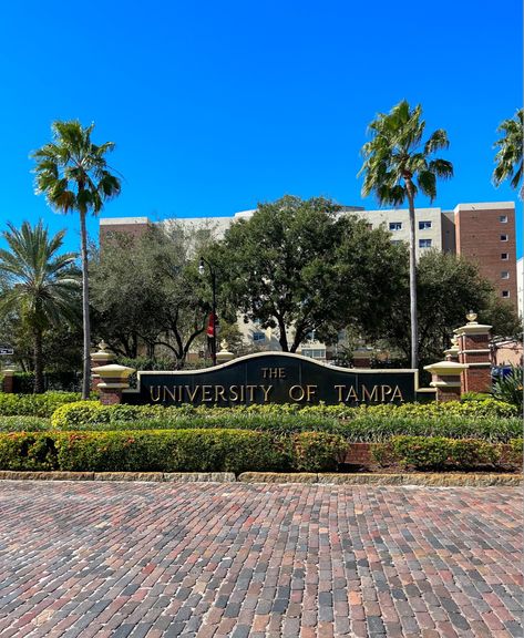 University Of Tampa Aesthetic, Fsu Vs Uf, Future Collage, College Vision Board, University Of Tampa, Colleges In Florida, Future School, College Aesthetic, Study Pictures