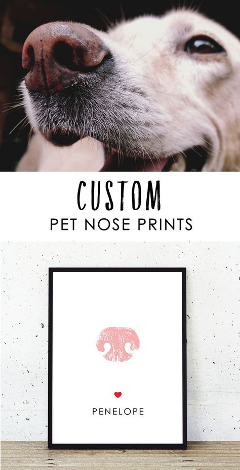 Every pet has a unique nose print, just like our fingerprints! Include your pet in your home decor with this modern and bright custom nose print artwork. Your pet is part of your family and this unique art preserves their special print. Use your own dog's nose print and personalize with a name and color choice. Stock prints also available (specify pet species; cat, dog, etc). #dognoseprint #dognose #petnose Dog Nose Print, Paw Print Art, Dog Nose, What Dogs, Secret Life Of Pets, Gift For Dog Lover, Indoor Dog, Dog Crafts, Print Artwork