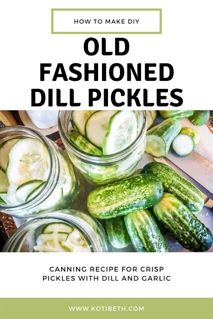 Easy Dill Pickles Canning, Dill Pickle Recipe Water Bath, How To Make Homemade Dill Pickles, One Jar Dill Pickle Recipe, Old Fashioned Pickle Recipes, Easy Canned Pickle Recipes, Dill Pickle Canning Recipe Easy, Canning Pickles Recipe Dill, Dill Pickles With Alum