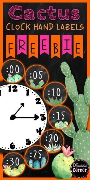 Cacti Decoration, Classroom Decor Printables, Decoration For Classroom, Decorations For Classroom, Cactus Classroom Decor, Garden Classroom, Cactus Classroom, Beauty Fotografie, Succulent Theme