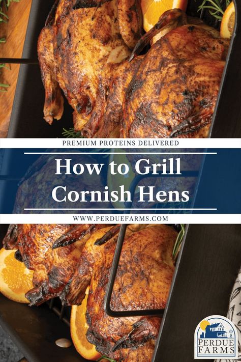 Cornish Hens On The Grill, Grilled Cornish Game Hen Recipes, Cornish Hen Recipe Grilled, Cornish Hens Recipes, Grilled Cornish Hens, Cooking Cornish Hens, Hen Recipes, Vegan Grilling Recipes, Cornish Game Hen Recipes