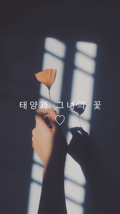 Flower Aesthetic Dark, Iphone Wallpaper Korean, Sun And Her Flowers, Korean Wallpaper, Korea Wallpaper, Aesthetic Wallpaper Iphone, Words Wallpaper, Korean Words, Cute Simple Wallpapers