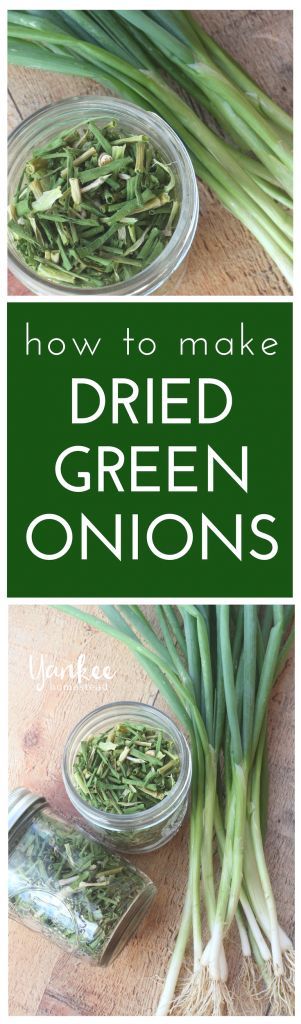 Drying Onions, Green Onion, Spring Onion, Veggie Sides, Preserving Food, Canning Recipes, Essential Oil Recipes, Fresh Green, Oil Recipes