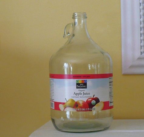 Gallon Jug Ideas, Large Glass Bottle Ideas, Decorating With Glass Bottles, Gallon Wine Jug Crafts Diy Projects, 1 Gallon Glass Jug Ideas, Glass Gallon Jug Crafts, 5 Gallon Glass Water Jug Ideas Diy, Repurpose Old Glass Bottles, Moonshine Jug Decor Ideas