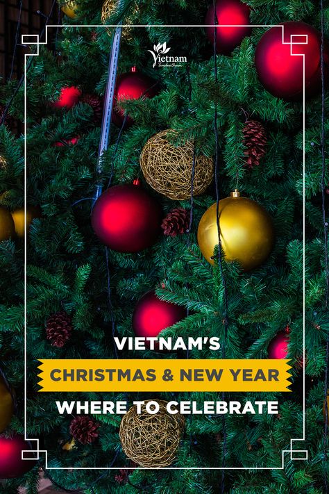 Travelling to Vietnam in December, you can catch a spark of that cosy Christmas vibe. From midnight mass in Sapa to festive fairs in Ho Chi Minh City, here’s a handy list of ideas for Christmas and New Year parties across the country. Happy Holidays! 🎊 Vietnam In December, Vietnam Tourism, New Year Activities, Trip To Vietnam, Australia Itinerary, Tropical Countries, New Years Activities, Christmas Vibe, Cosy Christmas