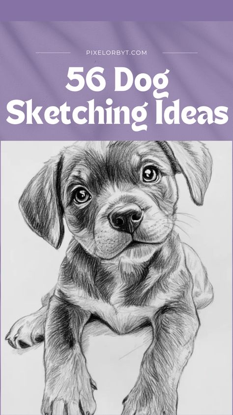 Explore dog sketching ideas to capture the personality and charm of man's best friend in your artwork. Realistic Pencil Drawings Of Animals, Pencil Drawing Exercises, Art Sketches Animals, Dog Pencil Sketch, Animal Sketch Ideas, Labradoodle Drawing, Dog Sketching, Animal Sketches Easy, Sketches Animals