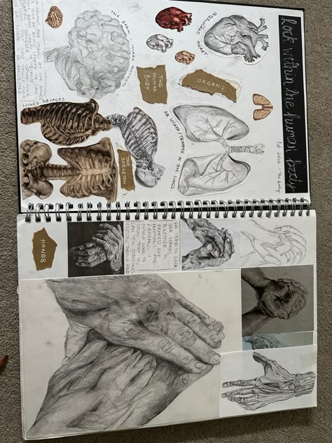 Gcse Art 3d Final Piece, Art Visual Diary, Art Mindmap, Gcse Fragments, Artbook Ideas, Natural Form Artists, Sketchbook Examples, Artist Research Page, Distortion Art