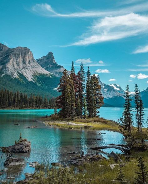 Earth pictures 🌍🌎🌏 on Twitter: "https://t.co/tCIDssPppI" / Twitter Jasper National Park Canada, Spirit Island, Maligne Lake, Earth Pictures, Jasper National Park, Horse Aesthetic, To Autumn, Pretty Landscapes, Mountain Photography