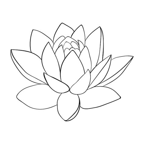 Lotus Line Drawing, Lotus Line Art, Lotus Outline, Line Drawing Simple, Lotus Drawing, Lotus Vector, Lotus Bud, Flower Line Drawings, Flower Drawing Tutorials