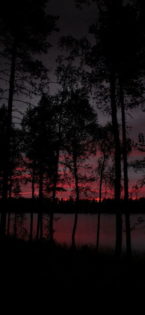 Scary Dark Wallpaper, Scary Dark, Dark Wallpaper, The Sun, Trees, Wallpapers, Sun, Water