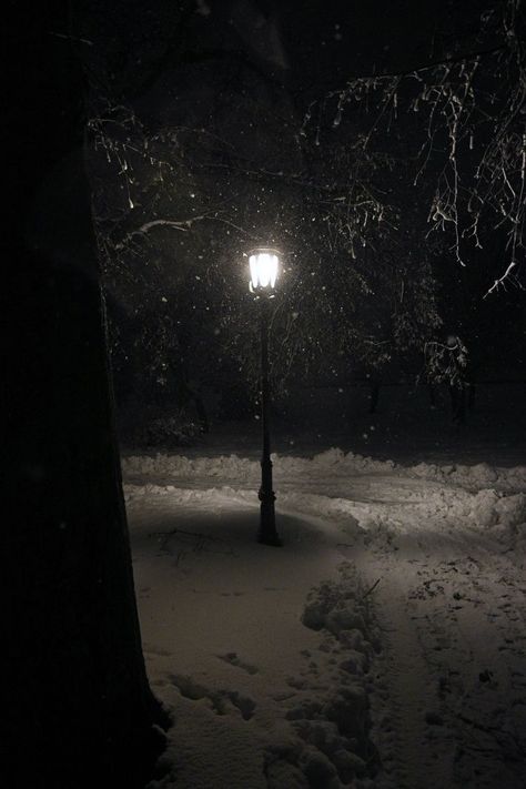 dark winter snow aesthetic. Dark christmas. Snow storm snow in city lamp post Snow Aesthetic Dark, Winter Snow Aesthetic, Park At Night, Snow Aesthetic, Dark Christmas, Night Scenery, Deep Winter, Dark Winter, Winter Wallpaper