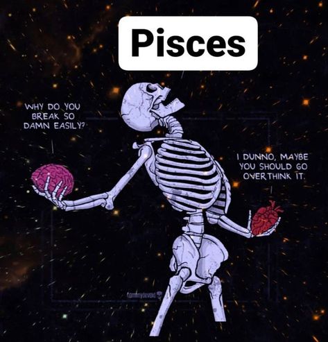 Virgo X Pisces, Pisces Lover, Pisces Energy, Zodiac Signs Couples, Spicy Pisces, Pisces Personality, All About Pisces, Pisces Fish, Pisces Traits