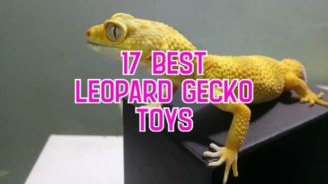 Diy Gecko Decor, Leopard Gecko Enrichment Ideas, Leopard Gecko Birthday Party, Leopard Gecko Diy Ideas, Diy Humid Hide Leopard Geckos, Leopard Gecko Care Sheet, Leopard Geckos Habitat Ideas, Leopard Gecko Tank Setup Ideas, Diy Gecko Hide