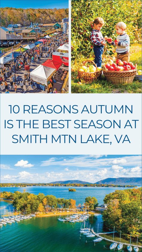 10 Reasons Why Fall is the Best Time to Visit Smith Mountain Lake - Smith Mountain Lake Insiders' Guide 2024 Smith Mountain Lake Va Things To Do, Smith Mountain Lake Virginia, Smith Mountain Lake Va, Lake Activities, Fall Fishing, Smith Mountain Lake, Real Estate Education, Waterfront Dining, Event Guide