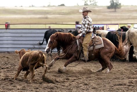 Barrel Racing Photography, Western Horsemanship, Working Cow Horse, Horse Competition, Ranch Horse, Western Horses, Horse Food, Cow Horse, Horse Exercises