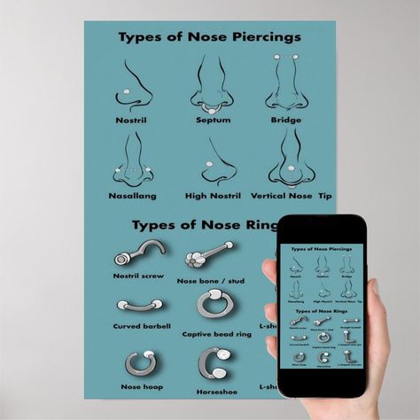 Types of Nose Piercings Chart Poster Types Of Nose Piercings Chart, Type Of Nose Piercing, Types Of Nose Piercings, Maintenance Week, Types Of Nose, Piercings Chart, Nose Bone Stud, Human Body Temperature, Piercing Chart