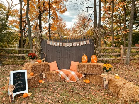 Fall Engagement Backdrop, Fall Backdrop For Pictures, Fall Diy Photo Backdrop, Fall Fest Backdrop Ideas, Fall Photo Booth Idea, Hay Bale Gender Reveal, Pumpkin Patch Gender Reveal Party, Simple Fall Backdrop, Fall Birthday Backdrop Ideas