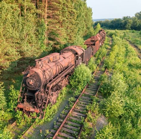 Steampunk Nature Aesthetic, Steam Train Aesthetic, Surreal Places, Apocalypse Landscape, Apocalypse Aesthetic, Abandoned Train, Post Apocalypse, Old Trains, Abandoned Cars