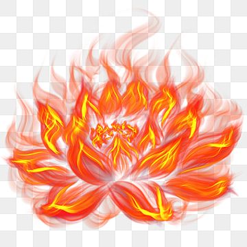 flame,lotus flower,spark,lotus,abstract,fire,decorative pattern Lotus On Fire Tattoo, Lotus Flower On Fire Tattoo, Flower Fire Tattoo, Fire Lotus Tattoo, Flower On Fire Tattoo, Fire Flower Tattoo, Lotus Clipart, Fire Clipart, Cheer Box