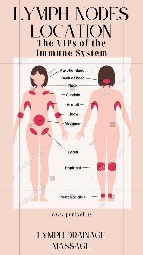The lymphatic system, an often-overlooked component of the body’s defense mechanisms, plays a vital role in maintaining overall health. While most people are familiar with the circulatory system that moves blood throughout the body, the lymphatic system is equally important. It functions as a drainage network, clearing out toxins, waste, and other unwanted materials. This complex network of vessels and nodes is crucial for maintaining a drama-free body, as it helps manage fluid levels, supports the immune system, and facilitates detoxification.
lymph drainage massage,lymph drainage,lymph massage,how to drain lymph nodes,lymph fluid. Drain Lymph System, Lymph Nodes Massage, Draining Lymph Nodes, How To Drain Lymph Nodes, Lymph Nodes Location, Drain Lymph Nodes, Self Lymph Drainage Massage, Lymph Drainage Massage Face, Manual Lymph Drainage