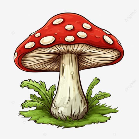 mushroom drawing isolated fungus mushroom nature png Red Mushrooms, Amanita Muscaria, Mushroom Tattoos, Posca Marker, Mushroom Drawing, Vintage Mushroom, Mushroom Fungi, Mushroom Art, Hippie Art