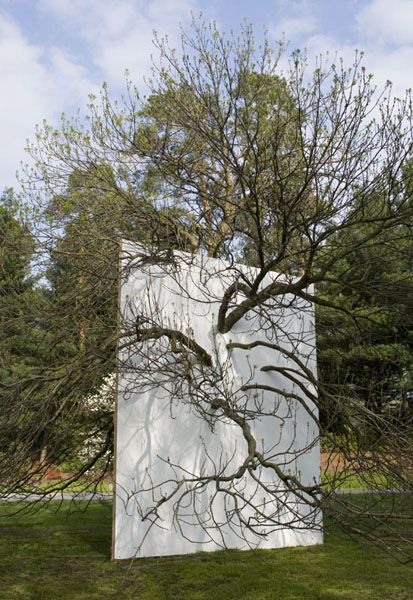 Letha Wilson . wll in blue ash tree, 2011 Deforestation Art Installation, Tree Installation Art, Nature Installation, Tree Installation, Arts Portfolio, Ecology Design, Blue Ash, Ash Tree, Outdoor Sculpture