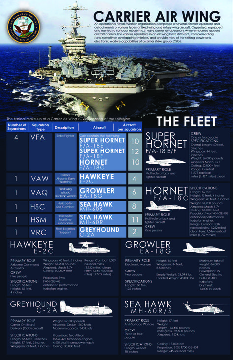 An infographic depicting the composition of an aircraft carrier strike group. Egyptian Army, Carrier Strike Group, Navy Carriers, Military Tactics, Us Navy Aircraft, Fly Navy, Navy Aircraft Carrier, Us Navy Ships, Aircraft Carriers