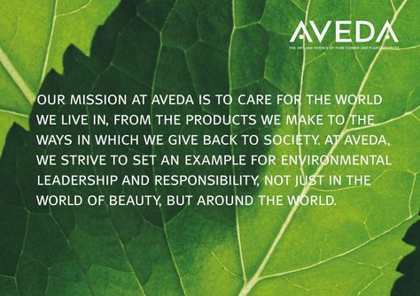 AVEDA Mission Statement Aveda Products, Gift Certificates Available, Spa Gift Certificate, Aveda Institute, World Vegan Day, Aveda Hair, Aveda Salon, Ethical Travel, Wellness Industry