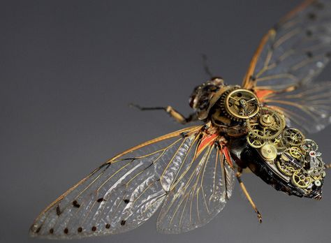 Artist Hatches Steampunk Insects Wearing Mechanical Gears | The Creators Project Mechanical Creatures, Animals Sculpture, Steampunk Animals, Steampunk Gadgets, Mechanical Animals, Antony Gormley, Style Steampunk, Arte Robot, Beautiful Bugs