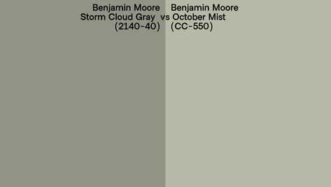 Benjamin Moore Storm, Storm Cloud Gray, Paint Colors Benjamin Moore, Benjamin Moore Paint, Storm Clouds, Hex Colors, Color Collection, Side By Side, Color Names