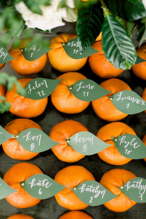 This zesty Newport wedding is filled with fun orange citrus decor Love At First Spritz, Citrus Decor, Citrus Party, Beach Wedding Planning, Newport Beach Wedding, Deco Fruit, Orange Palette, Fruit Wedding, Orange Theme