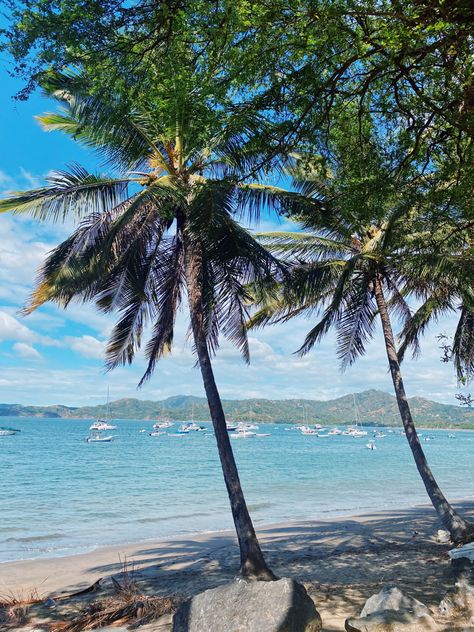 Palm trees beach Costa Rica Costa Rica Aesthetic Beach, Tamarindo Beach Costa Rica, Surf In Costa Rica, Playa Flamingo Costa Rica, Costa Rica Wildlife, Latin America, Palm Tree, Summer Aesthetic, Costa Rica