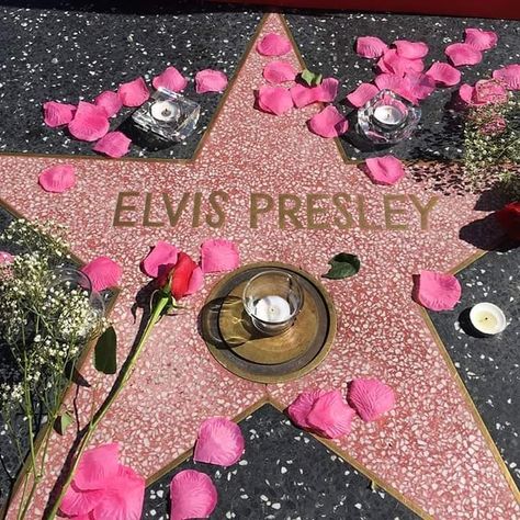 Elvis Valentines Day, Pink Elvis Aesthetic, Elvis Presley Aesthetic, Elvis Aesthetic, Mia Core, Elvis Presley Wallpaper, Elvis Presley Memories, Elvis Memorabilia, Elvis Presley Images