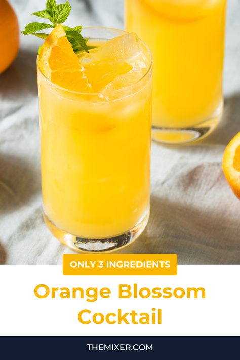 🍊 Gin and orange juice aren’t commonly used together in cocktails, but when you combine them in a sweetly tart Orange Blossom cocktail, they shine It’s sweetened with vermouth, creating a super simple and totally tasty three-ingredient drink. Orange Blossom Cocktail, Brunch Essentials, Orange Juice Cocktails, Basil Cocktail, Easy Drinks To Make, Blood Orange Margarita, Infused Gin, Types Of Cocktails, Gin Recipes