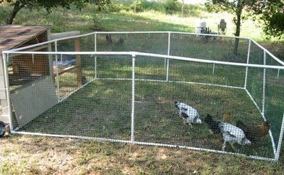 Homemade PVC Chicken Run . . . We built this and used it until the chickens were about 6 months old. Worked fantastic! . . . 5/14/14 - Reused all the parts and built again for my new chicks! ~ Becky Pvc Chicken Run, Clean Chicken, Portable Chicken Coop, Chicken Pen, Chicken Run, Pvc Pipes, Coop Plans, Free Range Chickens, Keeping Chickens