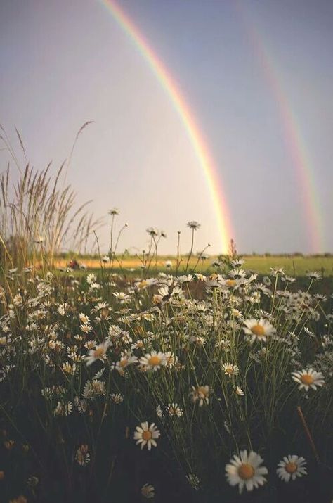 The Sky, Rainbow