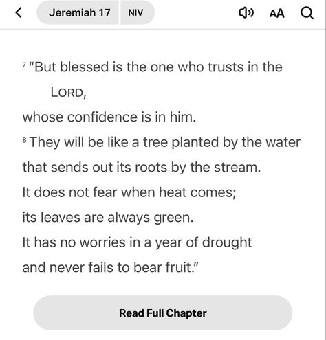 Jeremiah 17 7-8, Niv Bible Verses, Niv Bible, Real Relationships, Prayer Board, Do Not Fear, Bible Study, Seventeen, No Worries