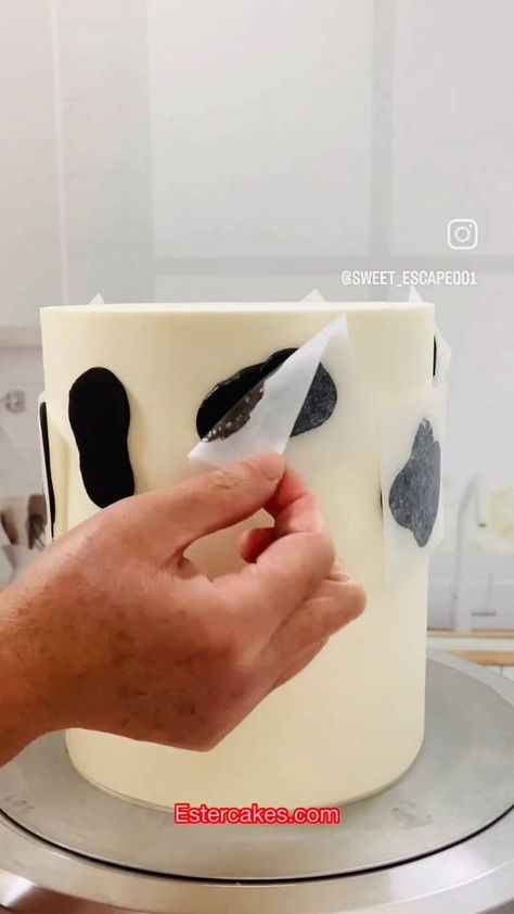 Easy way to make cow 🐄 print with buttercream, no fondant needed 😍 Pipe the black buttercream using big round tip and cover it with parchment paper. Smooth it out with your finger to the desired shape and freeze it for about 15 minutes and then peel the parchment paper, and you get the cow print, easy right 😘 Teal smooth hound and smooth pup cake comb from Estercakes.com I m using Fondx from @caljava for the fondant details Use code : Ester10 for discount I m using Swiss meringue buttercre Fondant Cow Cake, Diy Cow Print Cake, Cow Sheet Cake, Cow Print Cake, Happy Birthday Cow, Cake Diy Easy, Cow Print Cakes, Cow Birthday Cake, Black Buttercream