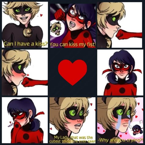 I  don't know if this is funny or not 😂 Adrien X Marinette, Mlb Comics, Miraculous Ladybug Kiss, Marinette Ladybug, Tikki Y Plagg, 2560x1440 Wallpaper, Miraculous Ladybug Oc, Miraculous Ladybug Memes, Miraculous Ladybug Wallpaper