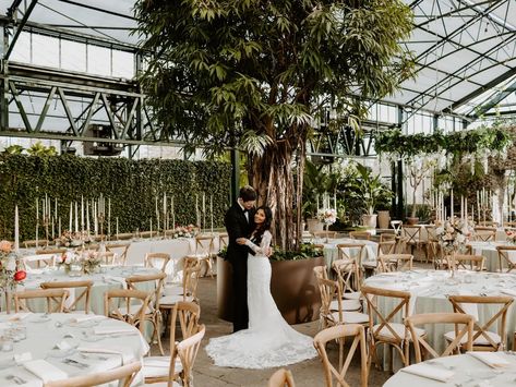 Best Affordable Michigan Wedding Venues To Fit Your Budget - See… Small Wedding Venues Michigan, West Michigan Wedding Venues, Michigan Wedding Venues Affordable, Wedding Venues Michigan, Planterra Conservatory, Arbor Wedding, Ann Arbor Wedding, Field Wedding, Ceremony Chairs