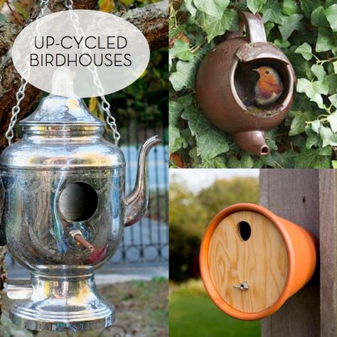 Teapot Birdhouse, Homemade Bird Houses, Bird House Feeder, Bird House Kits, Bird Houses Diy, Diy Birds, Diy Upcycling, Diy Upcycle, Bird Boxes