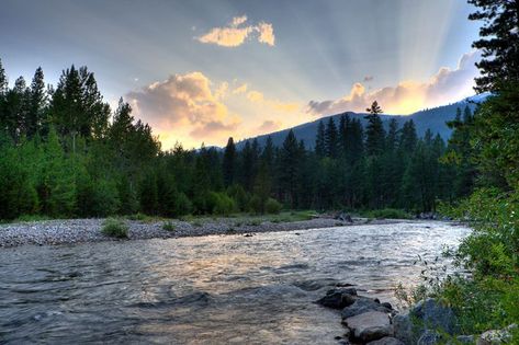 Best Places to Live in Montana - Livability Hamilton Montana, Road Trip Ideas, Trip Ideas, Montana, Road Trip, Places To Visit, Sun