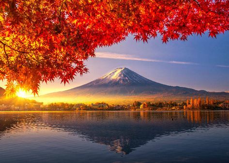 When to See Mt. Fuji? The Best Time and Season When Japan’s Iconic Mountain is Visible! - LIVE JAPAN (Japanese travel, sightseeing and experience guide) Japan In November, Robert Ryman, Gunung Fuji, Giuseppe Penone, Kamikochi, Tata Surya, Mount Fuji Japan, Day Trips From Tokyo, Richard Long