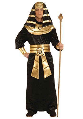 #AdultCostumes Pharoah Costume, Egyptian Halloween Costume, Fantasia Plus Size, Last Minute Kostüm, Egyptian Halloween, Egyptian Man, Pharaoh Costume, Party City Costumes, Plus Size Costume